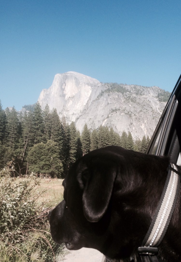 0123b6331de78ed436ea598ad65596eb6942535c88