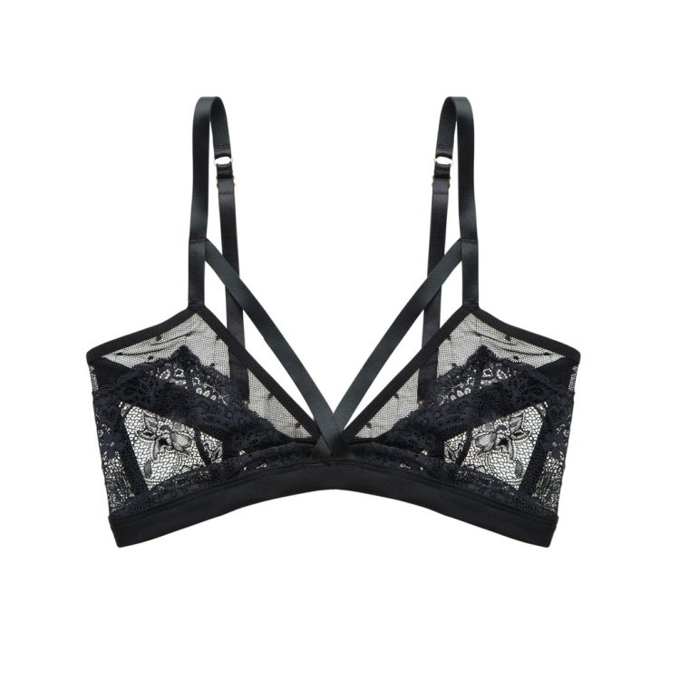 monarchyginaflatfront_1024x1024