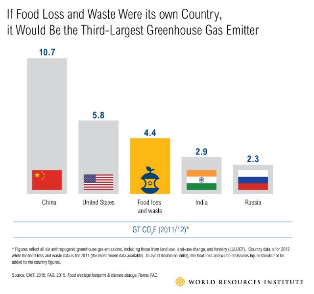 food waste