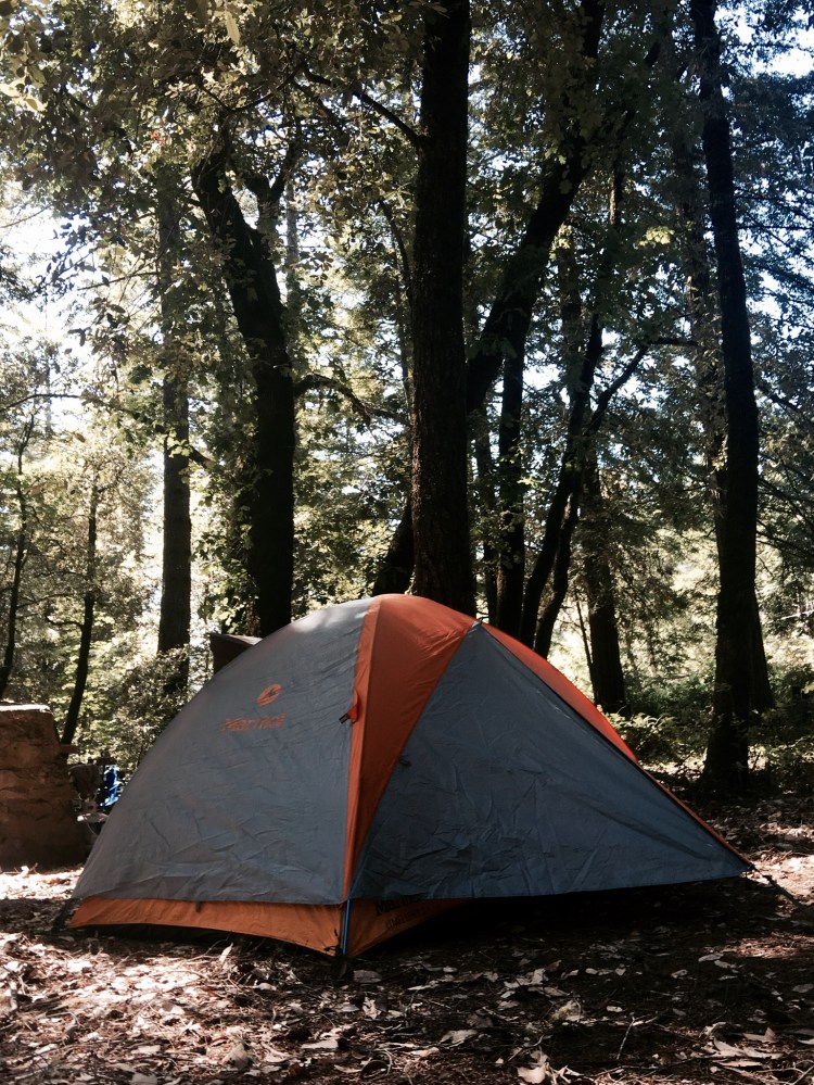 01cd36b632fc6b9d5f6acafb61f10e7b09cf1e14aa